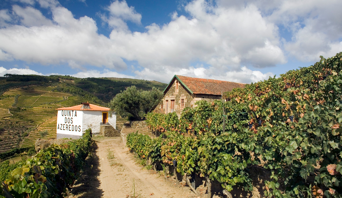 Quinta dos Azeredos